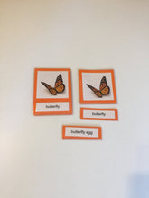 Load image into Gallery viewer, Montessori Life cycle of the Butterfly
