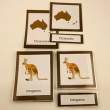 Load image into Gallery viewer, Montessori Animals of Oceania Three Part Classified Cards