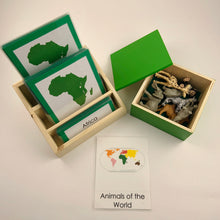 Load image into Gallery viewer, Montessori Animals of Africa with TOOB Figurines