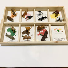 Load image into Gallery viewer, Montessori Animals around the World Toob Activity