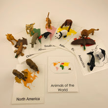 Load image into Gallery viewer, Montessori Animals around the World Toob Activity