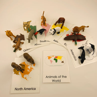 Montessori Animals around the World Toob Activity