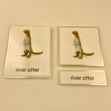 Load image into Gallery viewer, Montessori River Animals Three Part Classified Cards