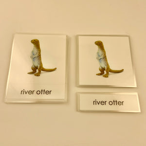 Montessori River Animals Three Part Classified Cards