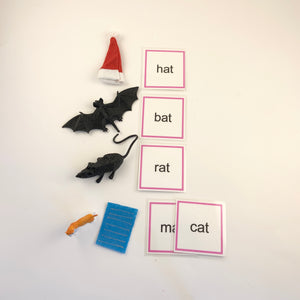 Montessori Phonics Pink Series Word Family "-at" Object Box