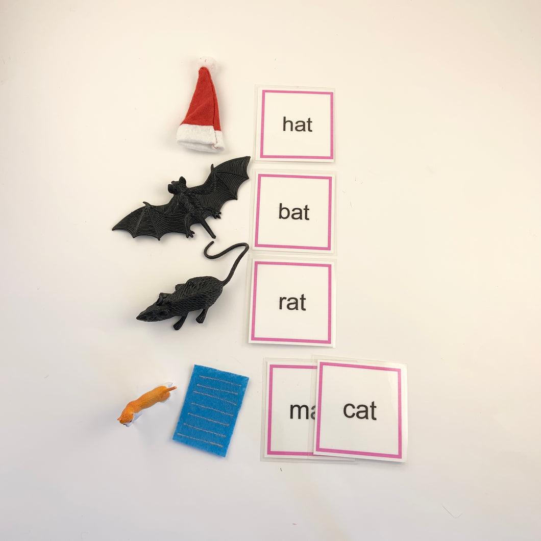 Montessori Phonics Pink Series Word Family 