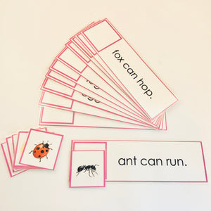 Montessori Pink Series Phonetic Early Reading Set