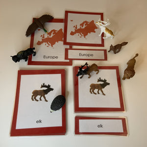 Montessori Animals of Europe with TOOB Activity