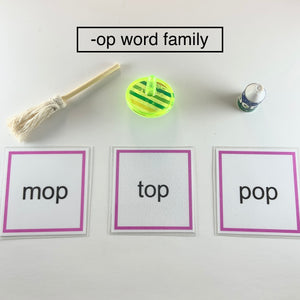Montessori Phonics Pink Series Word Family Object Box