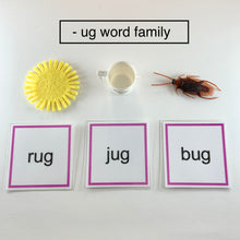 Load image into Gallery viewer, Montessori Phonics Pink Series Word Family Object Box