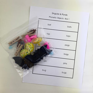 Montessori Singular and Plural Objects Box 1