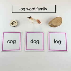 Montessori Phonics Pink Series Word Family Object Box