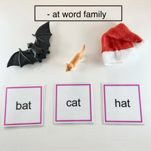 Load image into Gallery viewer, Montessori Phonics Pink Series Word Family Object Box